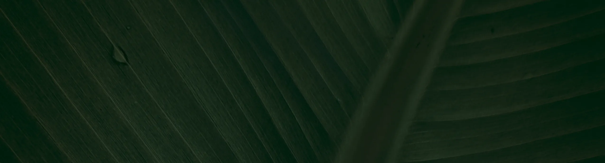 Charming Coffee-Sipping Frog Sculptures - Whimsical Desktop Decor for Book & Coffee Lovers